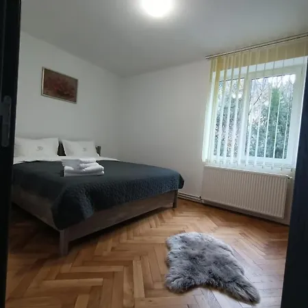 Vintage Gray Apartament Brasov Exterior photo